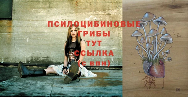 тгк Алзамай