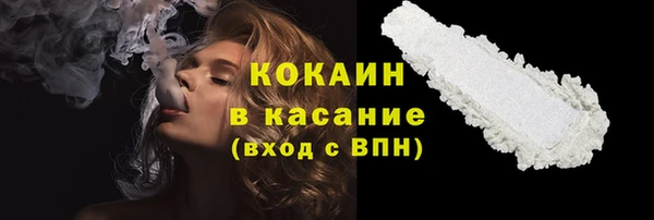 тгк Алзамай