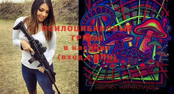 тгк Алзамай