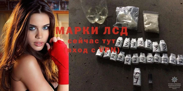 тгк Алзамай