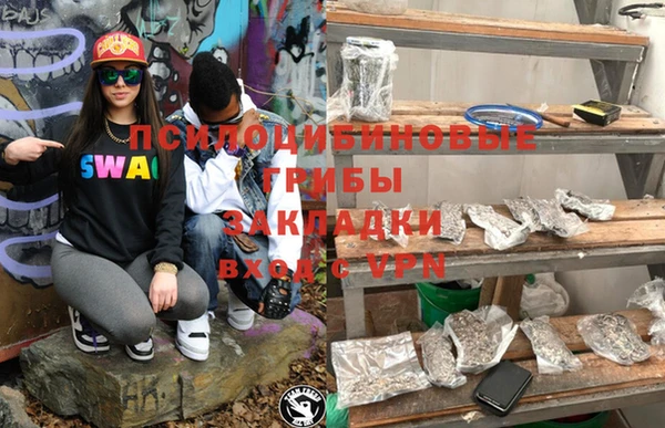 тгк Алзамай