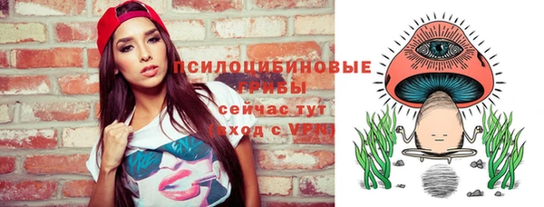 тгк Алзамай