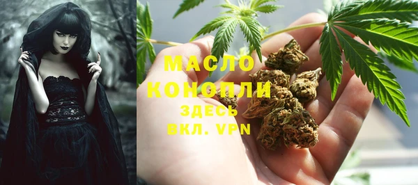 тгк Алзамай